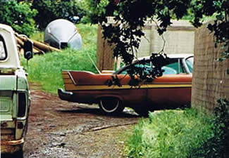 57Ply1a